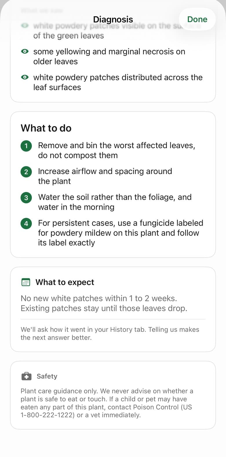 PlantRx treatment plan with four numbered steps and a what-to-expect timeline